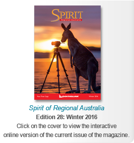 Click on the cover to view the current edition online